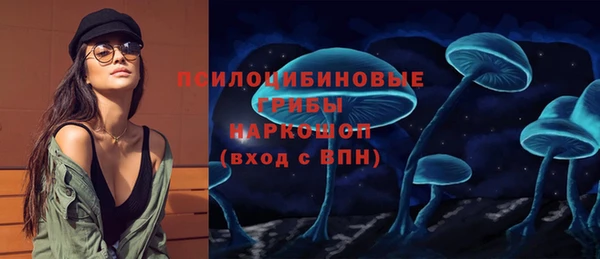 дживик Абинск