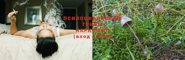 дживик Абинск