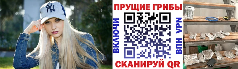 Псилоцибиновые грибы мицелий  Сочи 