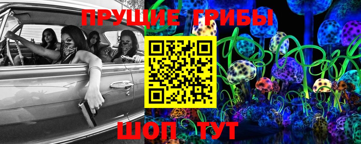 ГАШ Сочи